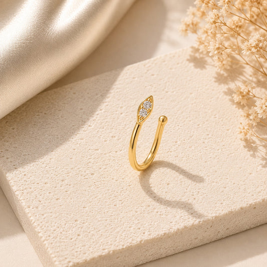 Nose Ring 4