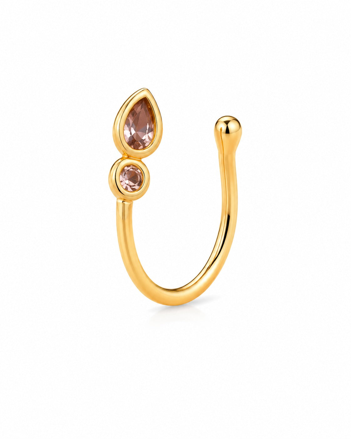 Nose Ring 5